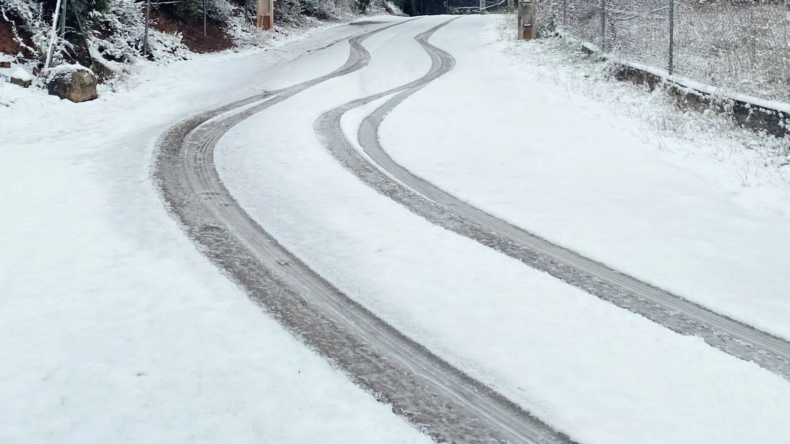Snowy road with tire tracks curving past frosted trees