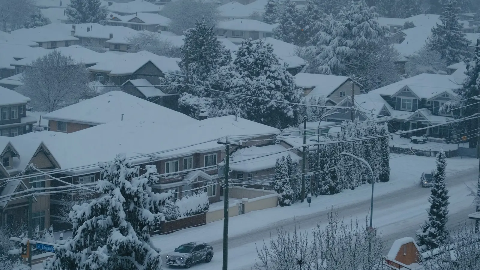 Snow-covered rooftops and trees across a residential neighborhood